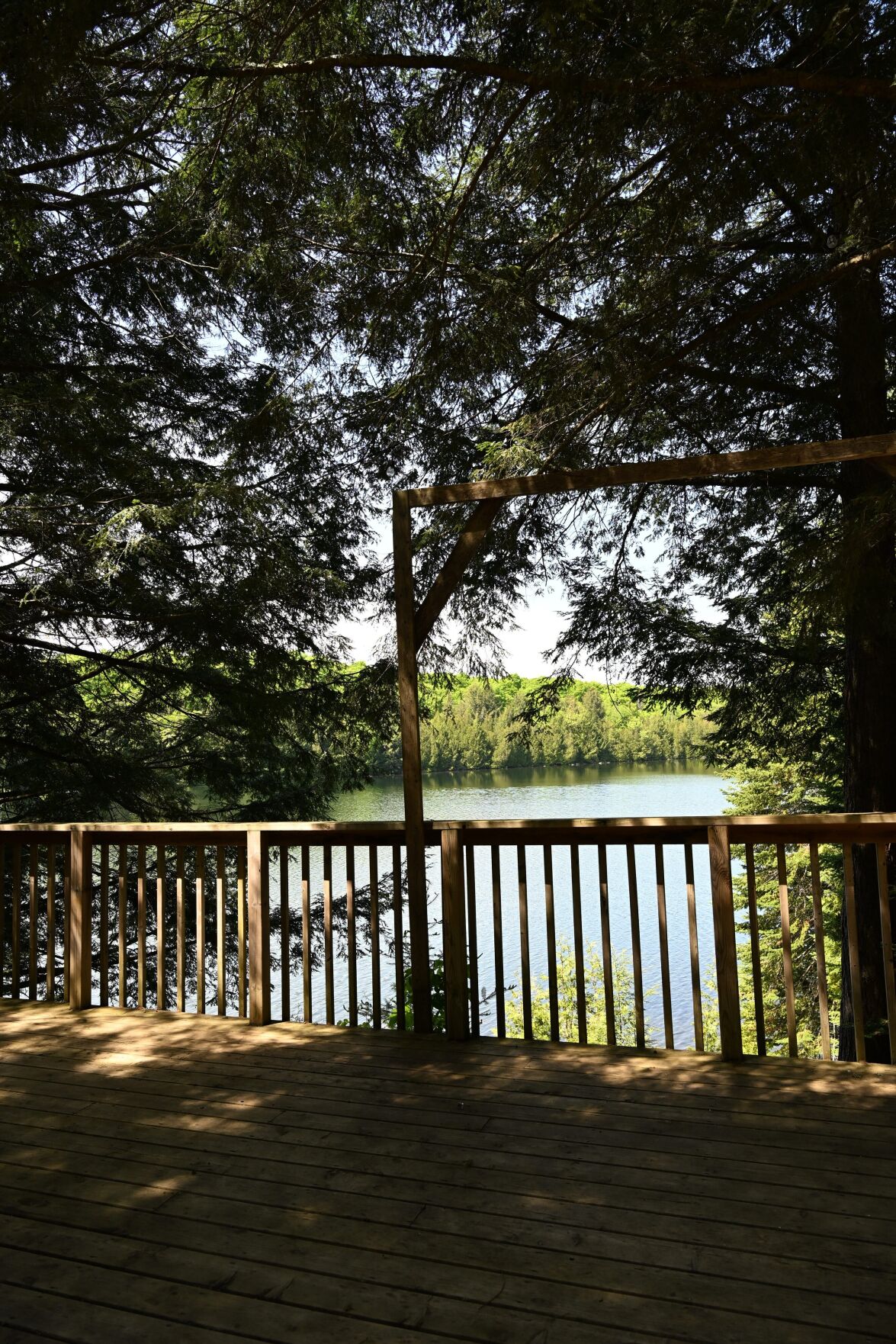 Camp Heartbreak tree.jpg